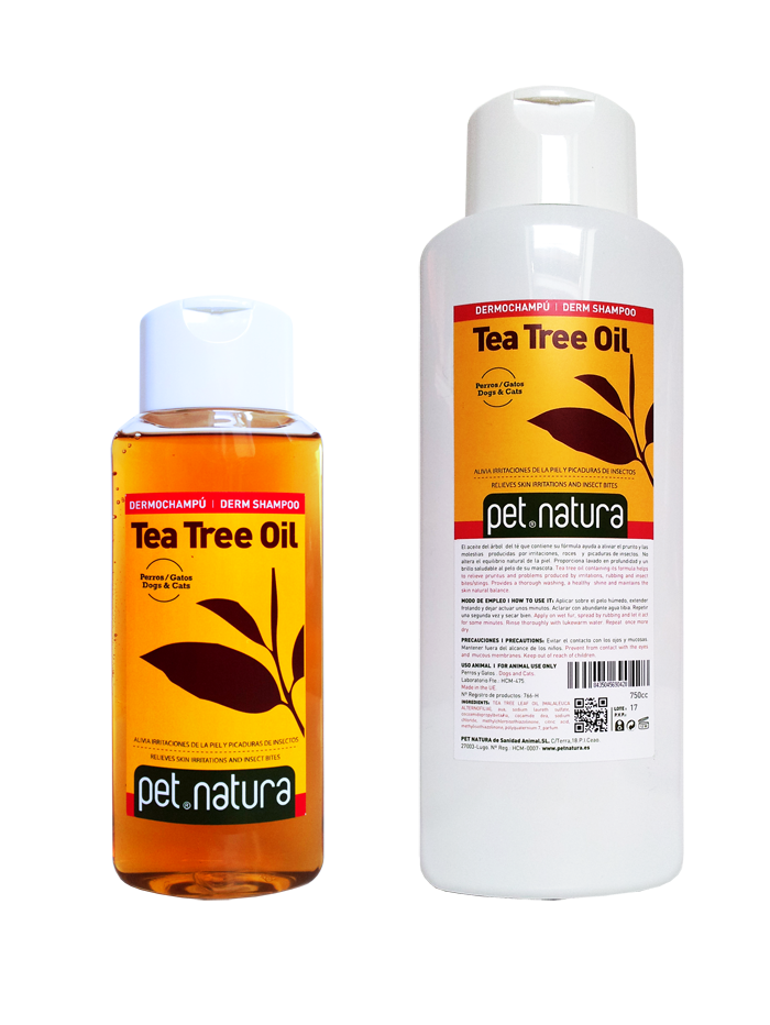 Champú Tea Tree Oil
