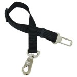 Sujetador de seguridad